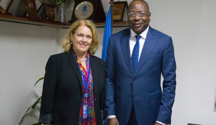 Centrafrique : Mme Lizbeth Cullity nommée représentante spéciale adjointe en remplacement de Kennth Gluck