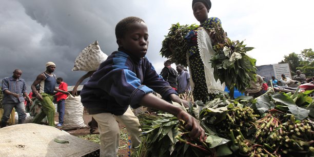 Comment la France imagine une possible implosion de l’Afrique face au Covid-19